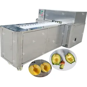 Industrial Professional Plum Cherry Peach Apricot Avocado Pear Pitting Stoner Machine