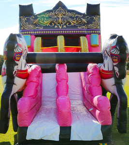 Lâu Đài <span class=keywords><strong>Bouncer</strong></span> Bơm Hơi Thương Mại Combo Nhà Bounce Bơm Hơi Có Thể Tháo Rời Với Cầu Trượt Bể Bơi - Product Image 4