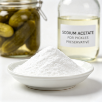 Approvisionnement direct usine : Poudre d'acétate de sodium anhydre de qualité alimentaire E262, additif alimentaire multifonctionnel, exportation mondiale en vrac
