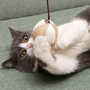 Giocattolo Interattivo per Gatti in Legno Massello con Piuma e Campanello, Bastone per Stuzzicare e Calmare il <span class=keywords><strong>Gatto</strong></span> - Product Image 4