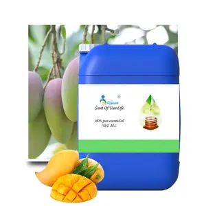 Food Grade Geconcentreerd Mango Flavour Ijs Flavour Drank Smaak Fruit Gearomatiseerd
