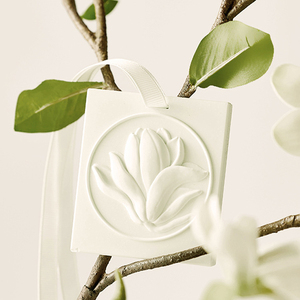 Logo personnalisé Fleur Design <span class=keywords><strong>D</strong></span>éodorant pour la <span class=keywords><strong>maison</strong></span> Vente en gros <span class=keywords><strong>D</strong></span>ésodorisant pour voiture <span class=keywords><strong>Pierre</strong></span> <span class=keywords><strong>d</strong></span>'arôme Parfum Parfum Diffuseur <span class=keywords><strong>d</strong></span>'arômes Pierres - Product Image 4