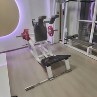 Machine à Squat Hack Professionnelle pour Entraînement des Jambes, à Charge par Disques avec Bouton de Réglage Rapide, Soudure Robuste, Personnalisable