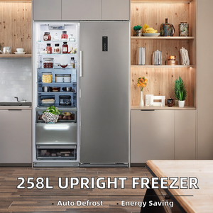 Congélateur vertical à porte unique de 258 L, sans givre, en acier inoxydable, pour usage domestique et hôtelier, classe A+ d'efficacité énergétique, dégivrage automatique garanti - Product Image 2