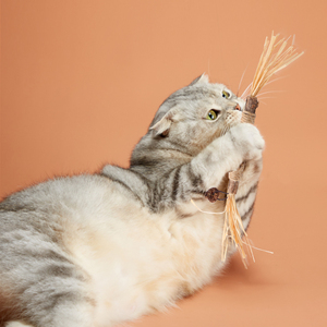 Jouets à mâcher pour animaux de compagnie à base de plantes naturelles Kangdarpet |   Jouets pour chats en sisal et plumes pour la santé dentaire, bâtonnets avec clochette |   Articles pour animaux de compagnie écologiques - Product Image 4