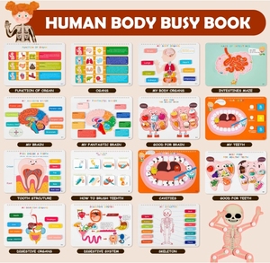 Livre d'activités HC Busy Book pour enfants, anatomie du <span class=keywords><strong>corps</strong></span> <span class=keywords><strong>humain</strong></span>, livre d'images coloré, activités d'apprentissage pour la maternelle, jouets sensoriels pour l'autisme, éducation précoce - Product Image 4