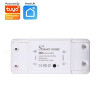 Tuya WiFi Akıllı Röle Modülü Kesici Akıllı Yaşam Uygulaması Uzaktan Kumanda Sesli Kontrol ve Zamanlama Fonksiyonu