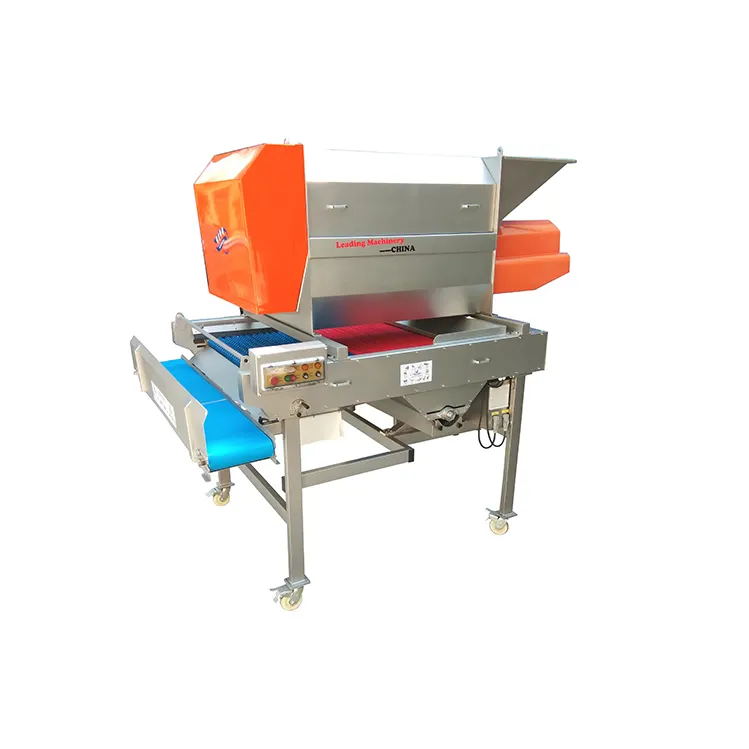 Machine d'éraflure de raisin pour la vinification Production industrielle Équipement de fabrication de cave Machine d'éraflage et de sélection de raisin