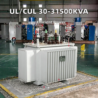 Transformateur toroïdal immergé dans l'huile triphasé en aluminium Wanbo-148, bobine en forme de toroïde, 100% cuivre, 50Hz, 30-31500KVA, distribution d'énergie 11/0.4kv