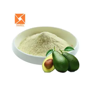 Biologisch Plantenextract Avocado Fruitzaad Extract Prijs Gevriesdroogd Avocado Poeder