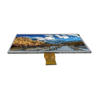 Tablet Lcd-scherm 10.1 Inch Full Kijkhoek 1024*600 Ips Lvds Interface Industriële Lcd-scherm