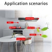 Nettoyant mousse pour cuisine de haute qualité, support personnalisé du logo, élimination des taches d'huile tenaces, extracteur de fumée, dégraissant pour cuisinière, four