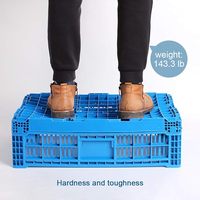 Conteneur de rangement pliable en plastique PP de 43 litres avec couvercle, caisse pliable pour fruits, légumes, transport, rangement, caisse en maille