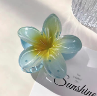 Pince à cheveux à l'acide acétique Finesryle nouvelle couleur fleur d'empreinte d'oeuf accessoires de cheveux pour femmes élégantes couleur pince de requin personnalisable