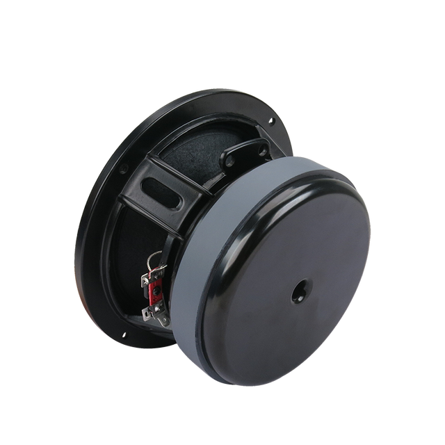 Professional Speaker 6.5 Inch Midrange Speaker Woofer Line Array Speaker 180W Midbass
