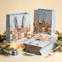 Sacs cadeaux en papier de luxe personnalisés, sacs en papier rouge et vert de Noël, emballage cadeau en gros pour écharpes et t-shirts avec poignées en ruban