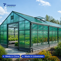 Plaque de polycarbonate transparente gaufrée, durable et résistante aux intempéries, pour serre