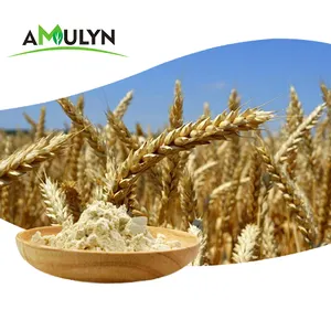 Гидролизованный пептид белка пшеницы для добавок CAS 70084-87-6