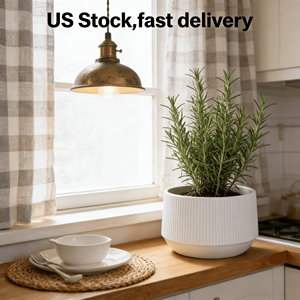 2 pots à fleurs en céramique de style américain, écologiques, légers, avec trou de drainage pour jardin et maison - Blanc brillant - Product Image 2