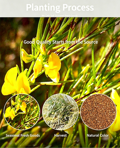 Thé aux fleurs de balai d'or |   Thé aux herbes pour <span class=keywords><strong>le</strong></span> bien-être de la rate et des reins |   Sans caféine |   Caragana Sinica séchée en vrac |   OEM personnalisé - Product Image 5