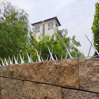 Clôture de sécurité anti - escalade en acier galvanisé avec pointes de mur de rasoir fer épines Home Safety
