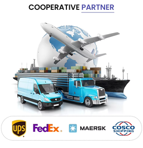 Spedizione Marittima Economica da Yiwu, Shanghai, Ningbo, Agente Logistico per Trasporto Container DDP dalla Cina agli USA e Canada, Consegna FEDEX - Product Image 3