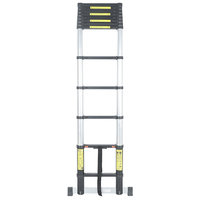 Échelle télescopique pliable en aluminium de 12,5 pieds