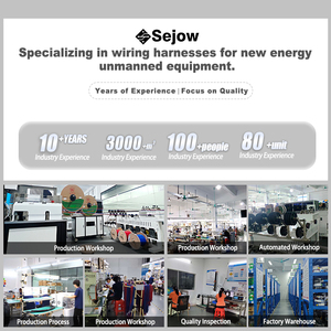 Sejow OEM ODM Hoge Kwaliteit Op Maat Gemaakte Elektrische Motorfiets Complete E-bike Hoofdbedrading - Product Image 5