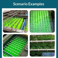 Brosse filtrante biochimique pour aquarium et bassin à poissons, neuve, de qualité supérieure 6A, en acier inoxydable 304, à filaments silencieux et absorbants le son