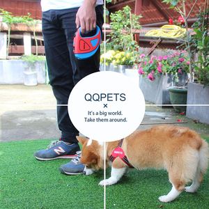 Correa de plomo retráctil grande personalizada de fábrica para perros, entrenamiento al aire libre, luz LED Flash, jogging, nailon, piel de nuevo diseño personalizada - Product Image 6