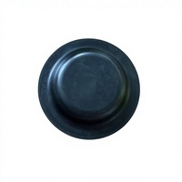 En stock, membrane de diaphragme à azote 86753852 pour accessoires de foreuse hydraulique