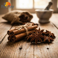 Canela en Polvo a Granel B2B, Caja Mini de 21g, Condimento Premium, Base de Especias Garam Masala, Distribuidor Mayorista