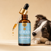 Probiotiques liquides pour chiens, 7 souches, soutien digestif et intestinal, prébiotiques, sirop, absorption rapide, dosage facile, en vrac