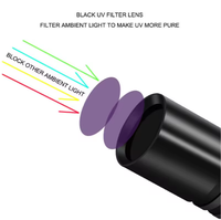 Portable Mini 365nm UV LED lampe de poche stylo ultraviolet lumière noire lampe AA batterie détecteur torche pour corps en alliage d'aluminium pour animaux de compagnie