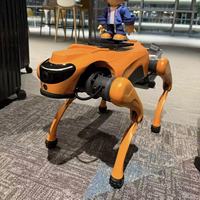 Robot chien intelligent éducatif et divertissant avec une conception quadrupède bionique, fonctions d'application et de commande vocale.