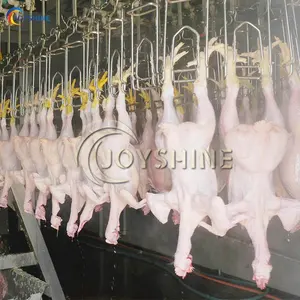 Equipamento de máquina de abate halal customizável de frango pato ganso linha de processamento