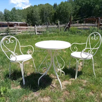 Ensemble bistrot Jaguar vert clair en fer forgé, fauteuils pliables et empilables, imperméables, écologiques, perforés, pour hôtel