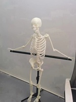 Поставки с завода, высокое качество, 3D-печать, семице, гуманоидные модели, биомедицинские