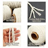 Ficelle et Corde en Coton Beige Haute Ténacité Écologique Enduites de 100m pour Emballage, Liage, Fabrication de Viande, Fabrication de Saucisses, Emballage Cadeau - Vente en Gros