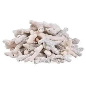 พิพิธภัณฑ์สัตว์น้ําจัดสวนหินปะการังทรายปะการัง - Product Image 2