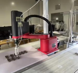 BORUNTE BRTIRSC0810A Bras robotisé SCARA 4 axes Portée 800 mm Charge utile 10 kg Servomoteur Haute précision pour l'assemblage et l'emballage - Product Image 5