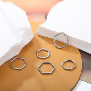 G23 titanio hexágono tabique anillos 16G 8mm tabique aro 16 calibre segmento con bisagras anillo Clicker Daith Piercing joyería - Product Image 3