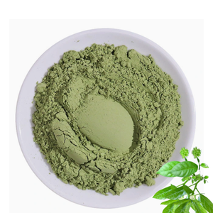 Good for Health Freeze-dried Lotus Leaf Pure Natural <b>Extract</b> Powder Herbal Supplement Lotus <b>Extract</b> at Low Price - Product Image 1