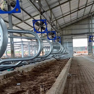 Conception <span class=keywords><strong>de</strong></span> boîtier pour bétail, <span class=keywords><strong>vache</strong></span> galvanisée à chaud, étal libre pour bétail, étal libre pour <span class=keywords><strong>vache</strong></span> - Product Image 5