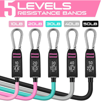 Bandas de Ejercicio Ajustables de TPE para Gimnasio, Bandas de Resistencia Elásticas de Alta Resistencia para Entrenamiento Físico, Juego de 11 Tubos
