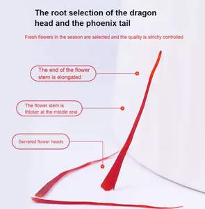 Micro Ingredientes Orgânicos de Açafrão Cru Seco em Fatias, Especiarias da Província de Fujian, China, Pronto para Uso na Indústria Alimentícia, Alta Qualidade e Potência Consistente - Product Image 3