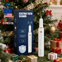 Cadeaux de Noël Kit de blanchiment des dents électrique à ultrasons Nettoyeur dentaire Vibration Plaque Tartre Calculus Enlèvement Détartreur dentaire