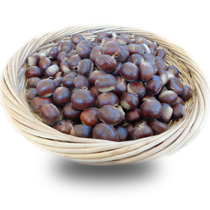 Castañas Peladas Enteras a Precios Bajos, Castañas Asadas Envasadas al Vacío, Precio de Castañas de Hebei Zunhua - Product Image 6