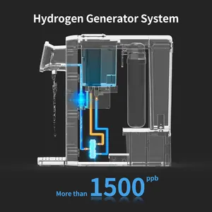 2023高水素含有温水冷水清浄機