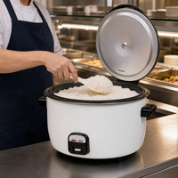 Série de cuiseurs à riz commerciaux de 3,6 L à 10 L avec plusieurs options d'alimentation pour l'hôtellerie et la restauration